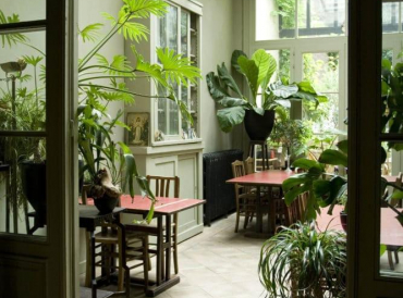 Растения в интерьере